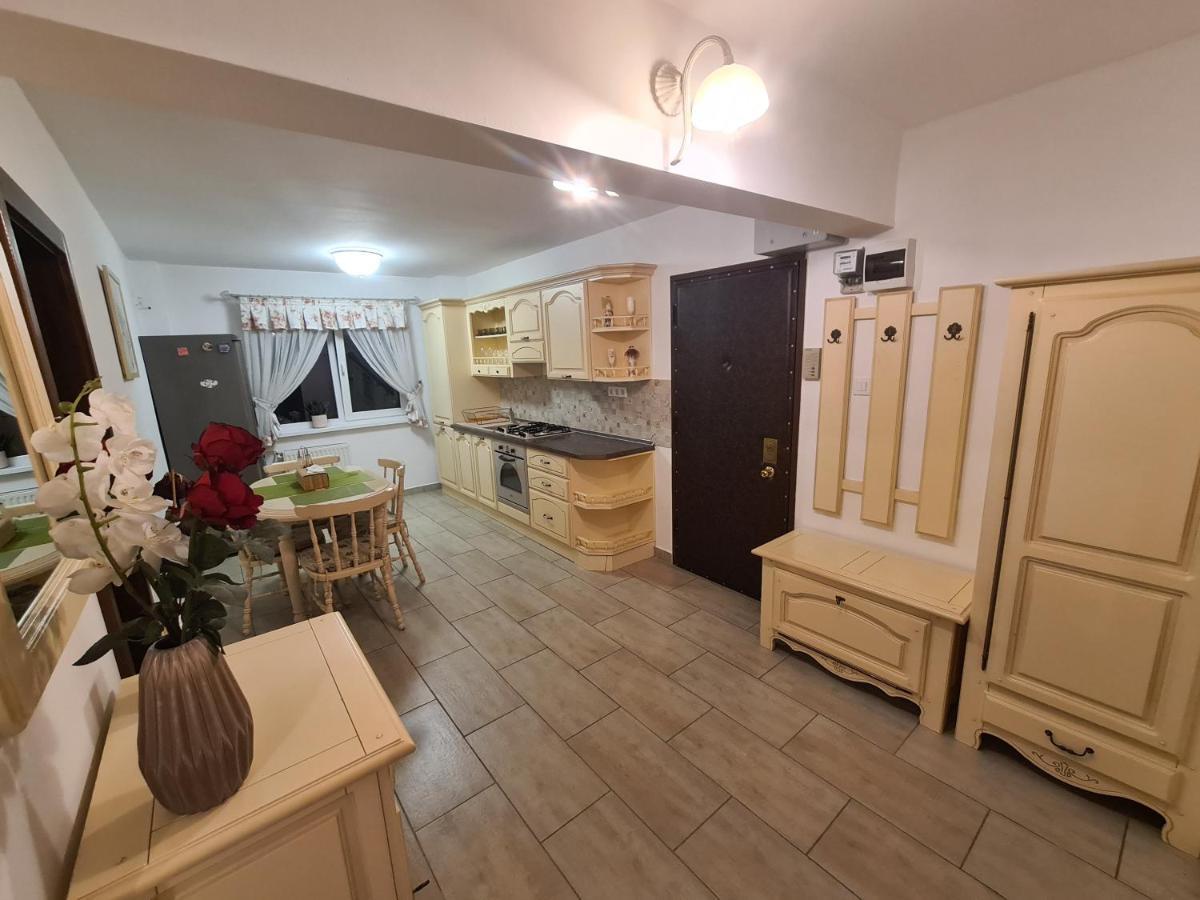 Clasic Apartment Nufarul أرادايا المظهر الخارجي الصورة
