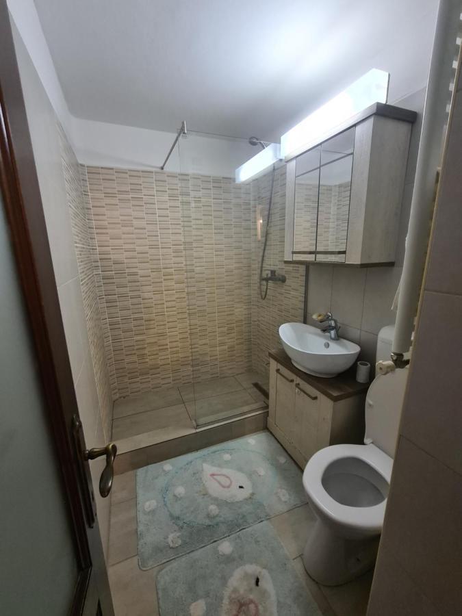 Clasic Apartment Nufarul أرادايا المظهر الخارجي الصورة
